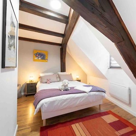 Les Lionceaux, 120M2 A Colmar, Place De Parking Gratuite Esterno foto