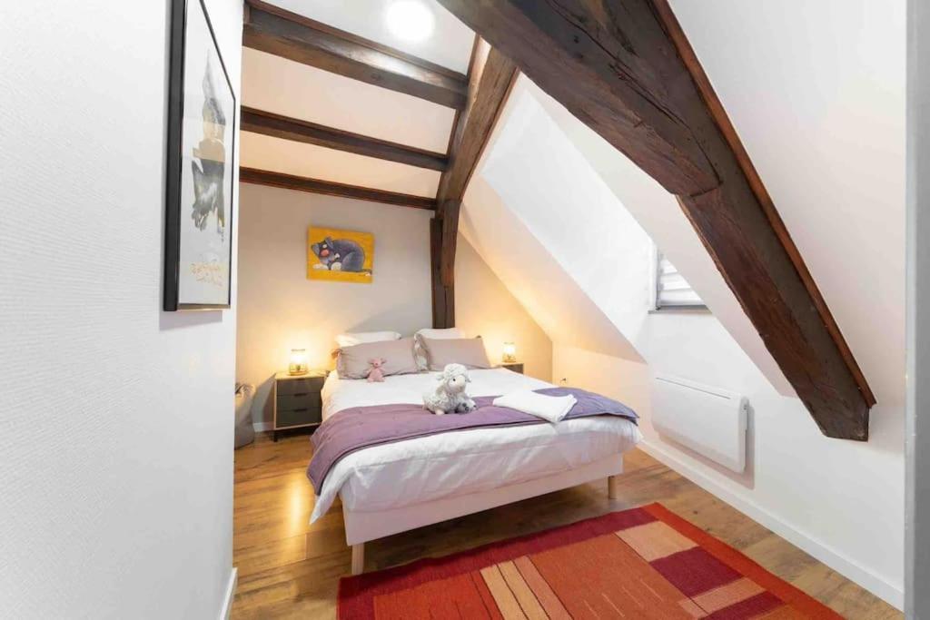 Les Lionceaux, 120M2 A Colmar, Place De Parking Gratuite Esterno foto