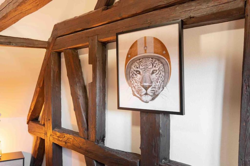 Les Lionceaux, 120M2 A Colmar, Place De Parking Gratuite Esterno foto