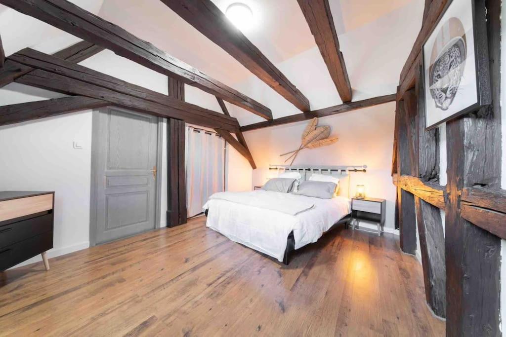Les Lionceaux, 120M2 A Colmar, Place De Parking Gratuite Esterno foto