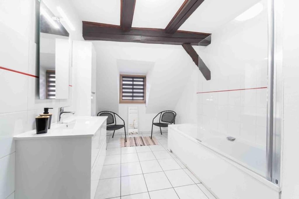 Les Lionceaux, 120M2 A Colmar, Place De Parking Gratuite Esterno foto