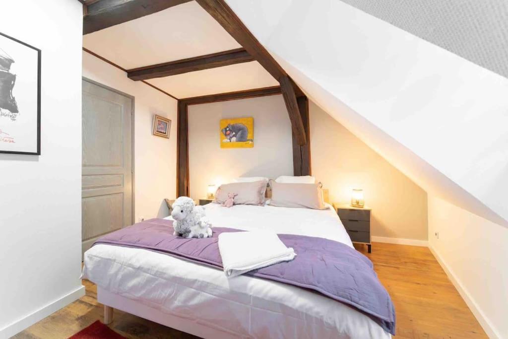 Les Lionceaux, 120M2 A Colmar, Place De Parking Gratuite Esterno foto