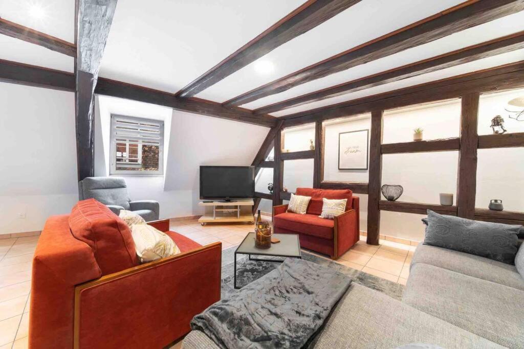 Les Lionceaux, 120M2 A Colmar, Place De Parking Gratuite Esterno foto