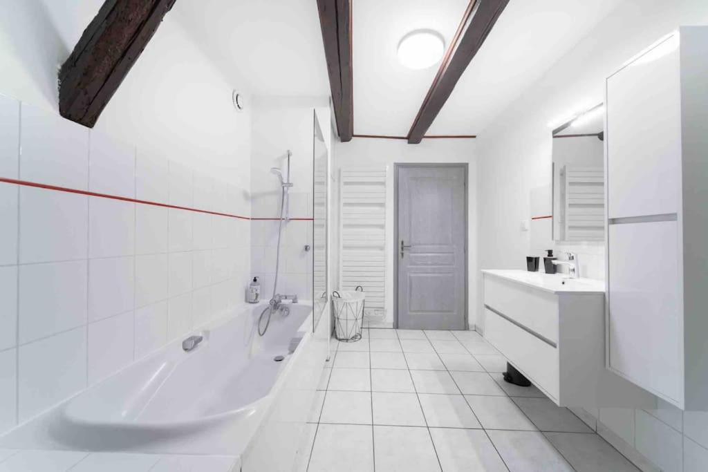 Les Lionceaux, 120M2 A Colmar, Place De Parking Gratuite Esterno foto