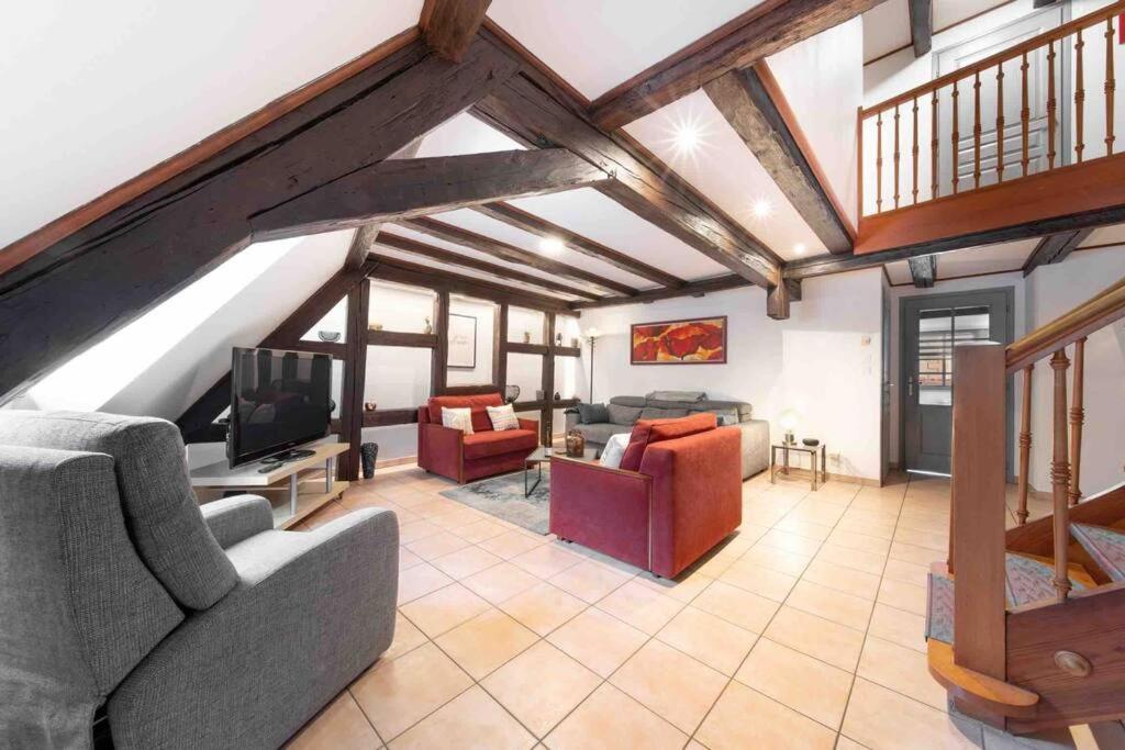 Les Lionceaux, 120M2 A Colmar, Place De Parking Gratuite Esterno foto