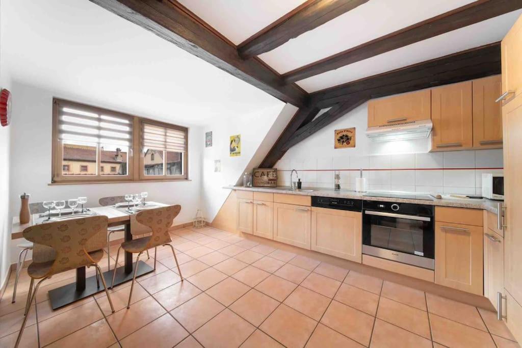 Les Lionceaux, 120M2 A Colmar, Place De Parking Gratuite Esterno foto