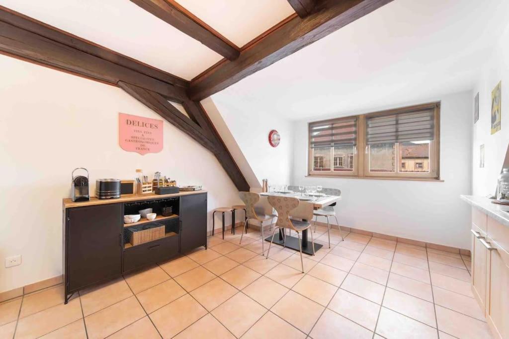 Les Lionceaux, 120M2 A Colmar, Place De Parking Gratuite Esterno foto