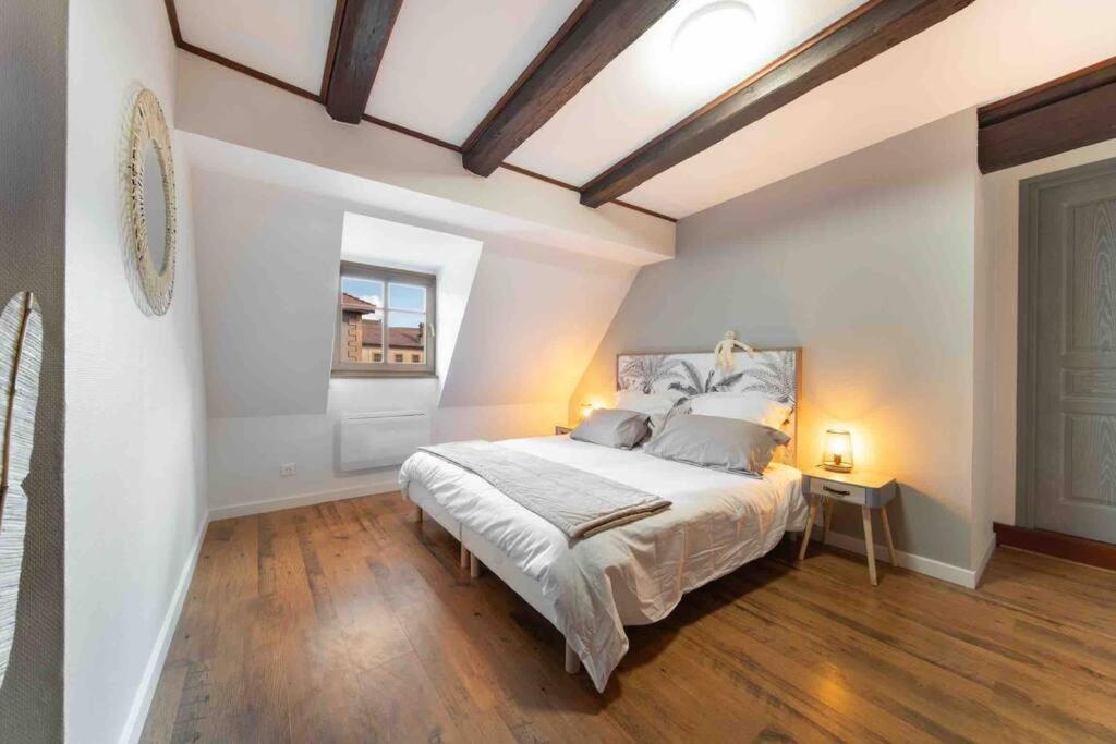 Les Lionceaux, 120M2 A Colmar, Place De Parking Gratuite Esterno foto